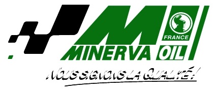 minerva.jpg